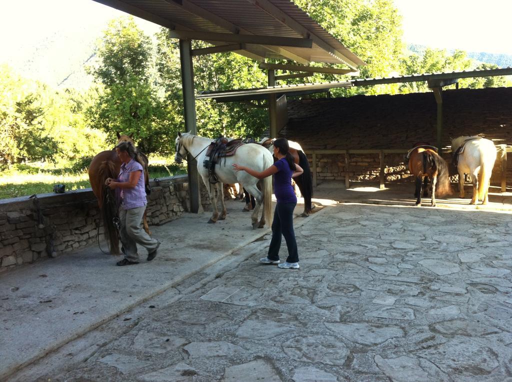 Nogales 3* Campo (Huesca)